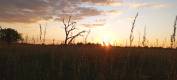IMG-20250606-WA0067