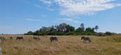 IMG-20250606-WA0070