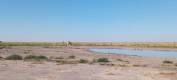 IMG-20250606-WA0023