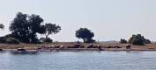 IMG-20250608-WA0013